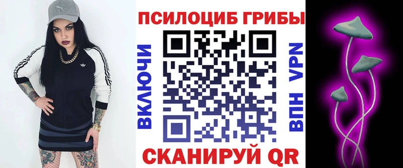 Галлюциногенные грибы мицелий  купить  цена  Лахденпохья 